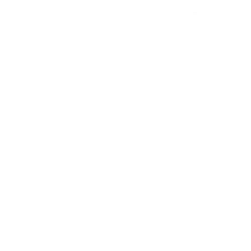 Webnyze White Logo